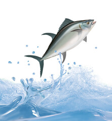 poisson, ton rouge, animal, isolé, bulle, congelé, sauter, frais, glacé, froid, pêche, eau, aliment, océan, attraper, blanc, eau douce, nature, fleuve, ailette, aquarium, lac, queue, écaillé, brut, bo