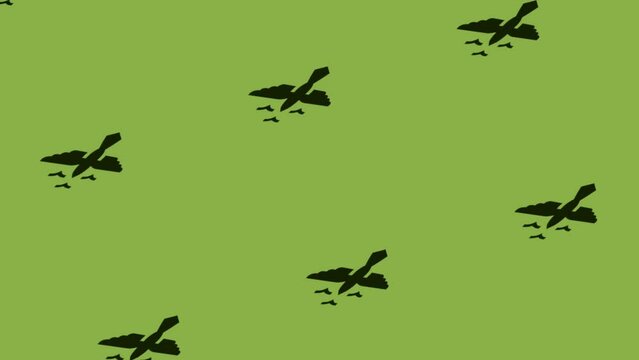 flock of flying birds icon animation on green background