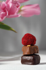 a set of handmade chocolates on a light background. Stylish design. A sunny day.