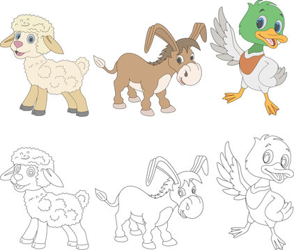 Vector image of sheep, donkey and duck, for coloring book.