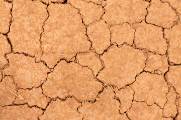 Cracked dry brown soil texture background, concept for global warming effect