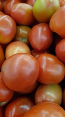 close-up photo of a bunch of tomatoes