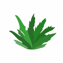 Aloe vera grass logo icon sign Flower emblem symbol Hand drawn sketch Abstract cute design Children's cartoon style Fashion print clothes apparel greeting invitation card poster flyer cover banner ad