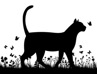 cat in the grass black silhouette