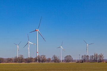 Windpark bei Elsterwerda