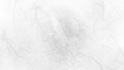 White marble surface with beautiful patterns, high resolution, used for design and soft light marble background. natural pattern with high resolution, tiles luxury stone floor seamless.