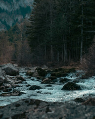 Rivi&egrave;re dans une for&ecirc;t