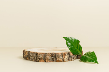 Wooden podium stump with bark and green leaf for natural cosmetic and product presentation