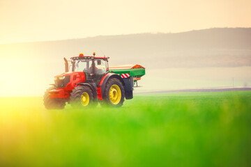 Farmer in tractor fertilizing wheat field, hdr nature landscape
