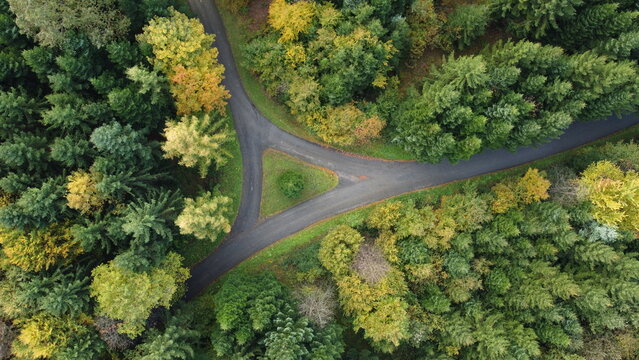 Waldstrasse