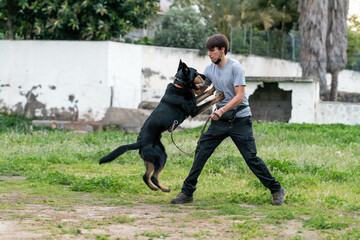 Dog training with his owner. German shepherd puppy