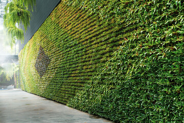 Green wall vertical garden friendly green nature eco friendly design landscape in building