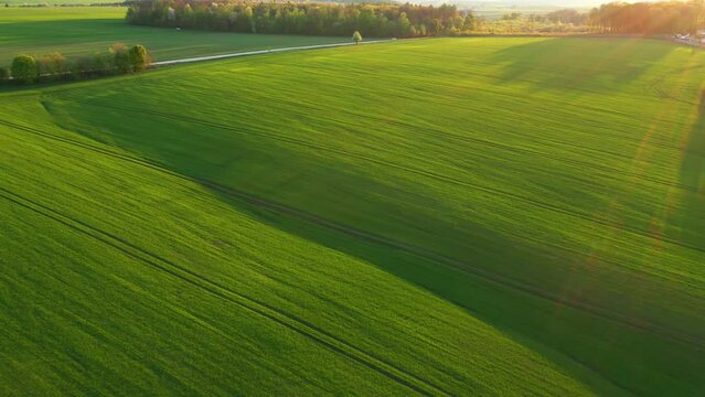 Aerial footage of a agricultural land and cultivated fields. Filmed in UHD 4k video.