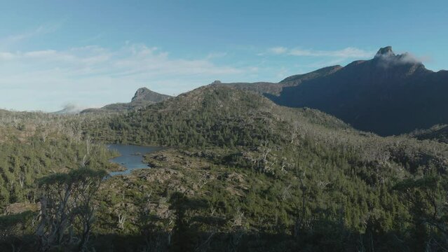 a summer morning view of lake cyane at the labyrinth in cradle mountain-lake st clair national park of tasmania, australia