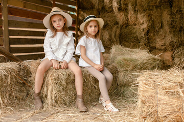 Two preteen sisters sitting together on haystack in hayloft on summer day - obrazy, fototapety, plakaty