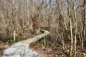 The old wood boardwalk bridge on the trail in the forest.