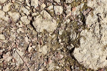 A close view of the rocky ground surface.