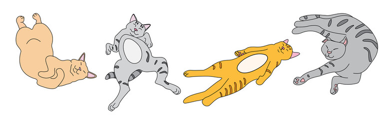 Funny cartoon cats lying in different positions on a white background 