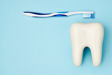 Toothbrush and tooth model on blue background