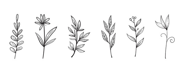 Fototapeta na wymiar set of doodle plants on a white background. Vector branches and leaves on a white background. Hand drawn floral elements.