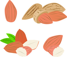 Brown Little Almonds Vector Illustration Art