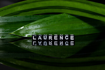 Mote alphabet blocks arranged into "Laurence" on a pandanus leaf background.