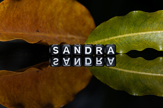 Mote alphabet blocks arranged into "Sandra" on a background of old leaves.