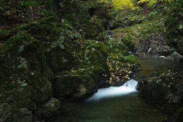 秋の渓流