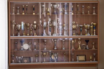 Trophy display case shelf made of glass and wood full of gold and silver trophies, rewards and cups. - Powered by Adobe