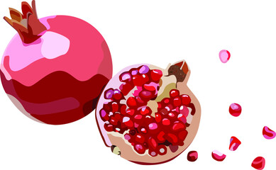 Red sweet pomegranate fruit vector illustration art