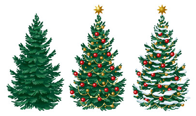 Set of Christmas trees. Christmas tree without decorations, with decorations and with snow. Vector new year image isolated on white background.