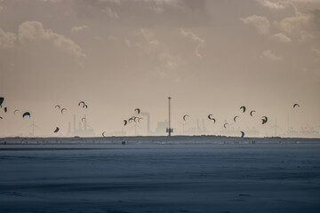 View from Kijkduin beach to Port of Rotterdam with many kitesurfer at sunset