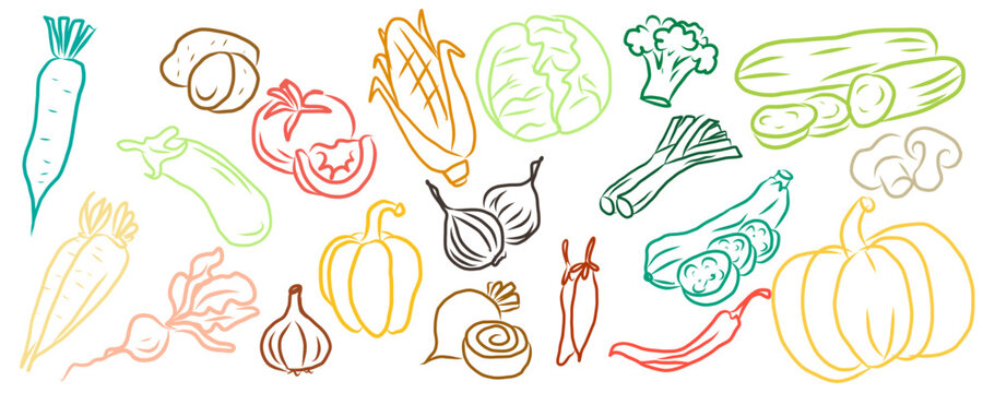 food, fruit, vegetable, vegetables, vector, icon, set, illustration, sketch, doodle, vintage, drawing, tomato, onion, pepper, food, fresh, vegetarian, fruit, vegetable, organic, healthy, green, tomato