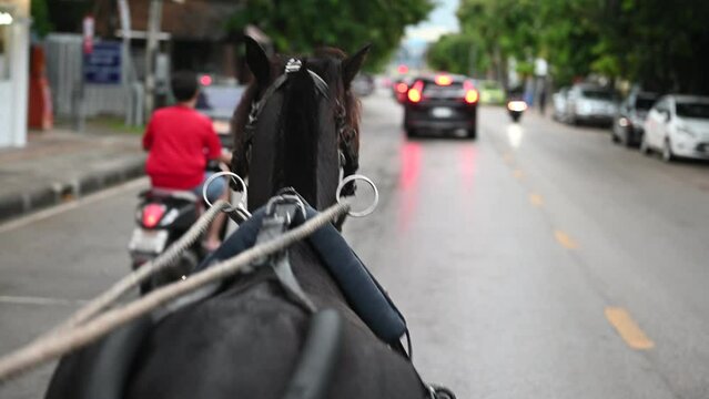Riding on a horse-drawn carriage to look around the city