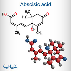 Abscisic acid, ABA  molecule. It is dormin, plant hormone. Structural formula, molecule model