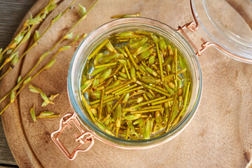 Preparation of a herbal gemmotherapeutic tincture from willow buds and bark, top view