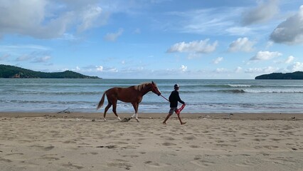 man walking with his horse on the beach