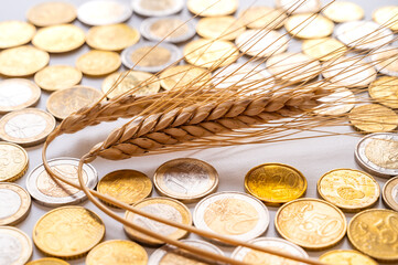 Ears of wheat on a clear surface, and coins beside it. Cost of grain, price increase, grain prices.
