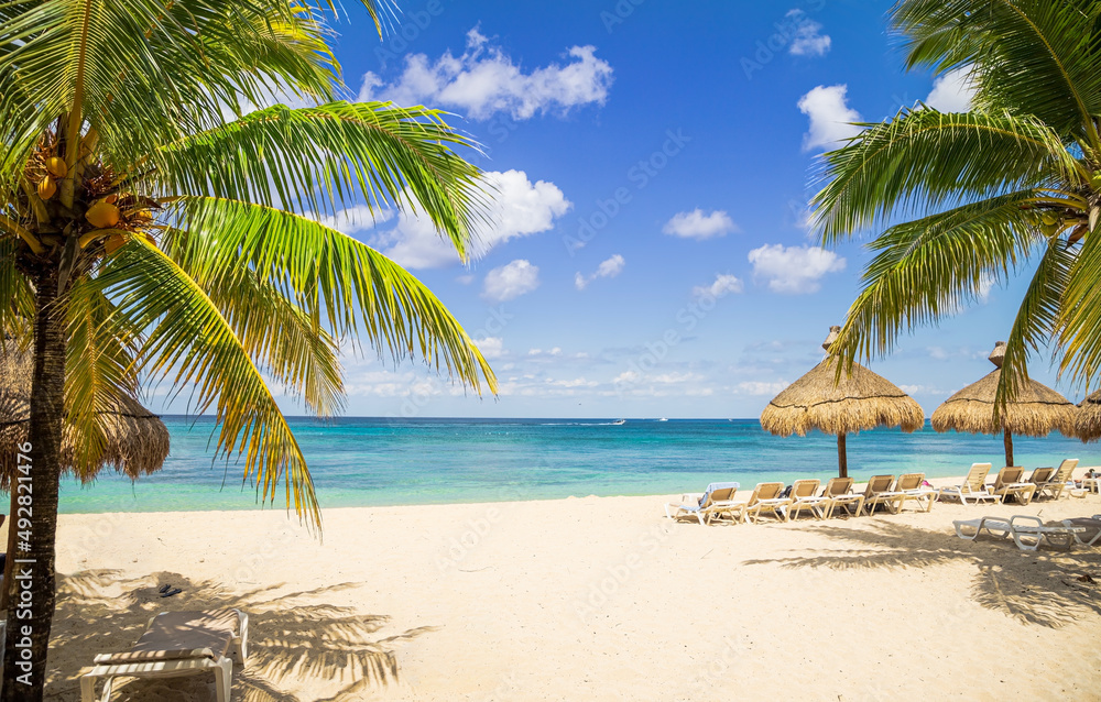 Wall mural Tropical beach with palm trees and boats in distance on a sunny day