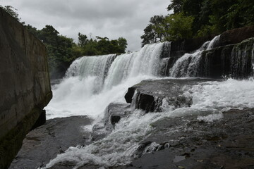 Une cascade d'eau  en forêt guinéenne 