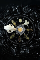 quartz minerals, crystal ball, animal skull on black divination zodiac astrology napkin. esoteric practices with natural gemstones. spiritual Magic Crystal Ritual, Witchcraft. top view