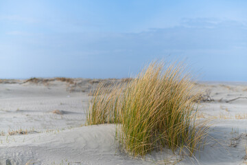 The sandy beach of the island of  Juist on a beautiful day