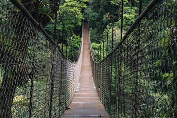 Puente colgante, boquete treek, Chiriquí. Panamá. - obrazy, fototapety, plakaty
