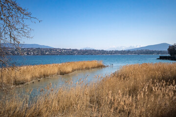 le Mont-Blanc depuis Genève