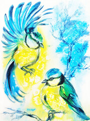 Blue and yellow birds on white background, watercolor
