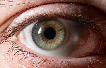 Beautiful close up of green eye. Macro photography.