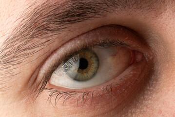 Beautiful close up of green eye. Macro photography.