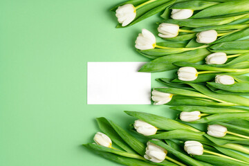 Fresh white tulips and empty isolated card on green background. Natural flowers with green leaves. Spring sale mockup. Holiday composition. Greeting card and blossom flat lay. Top view, copy space.