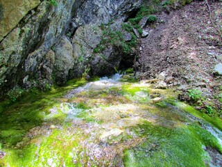 Mountain spring covered in moss and lit by sunhine at Mrzle vode above Gozd Martuljek in Triglav...