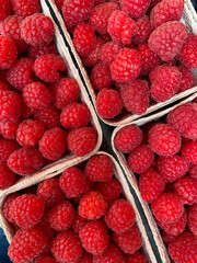 seasonal fruit box in the market